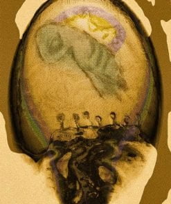 Elon Musk – Trans body on Mars, 2031